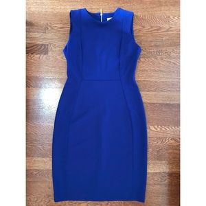 Calvin Klein royal blue sheath dress